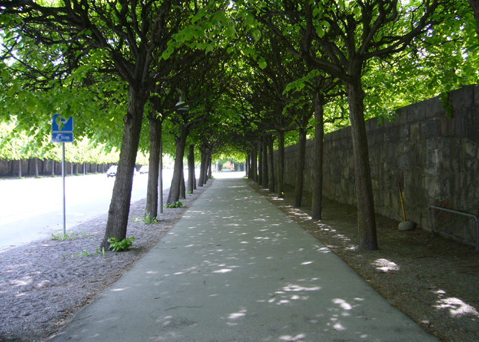 Stockholm South Cemetery and Woodlamd/Gunnar Asplund, Sigurd Lewerentz